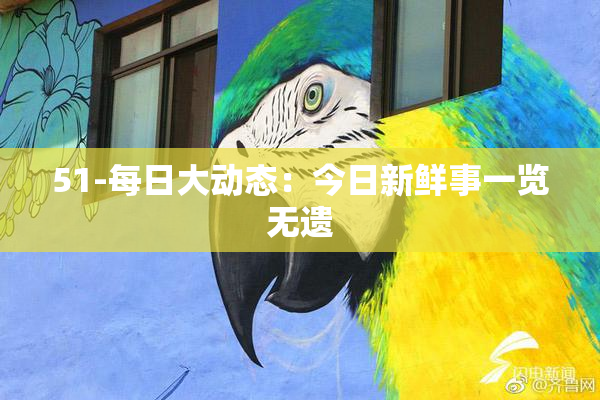 51-每日大动态：今日新鲜事一览无遗
