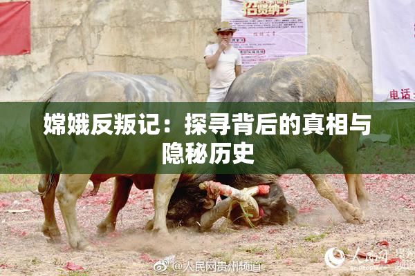 嫦娥反叛记：探寻背后的真相与隐秘历史