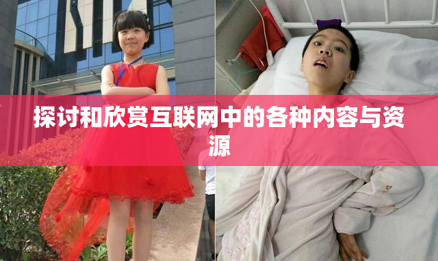 探讨和欣赏互联网中的各种内容与资源