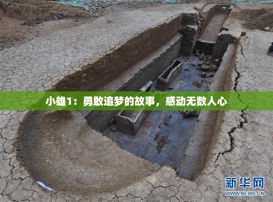 小雄1：勇敢追梦的故事，感动无数人心