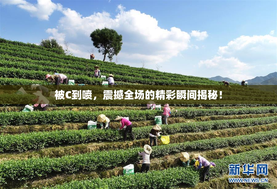 被C到喷，震撼全场的精彩瞬间揭秘！