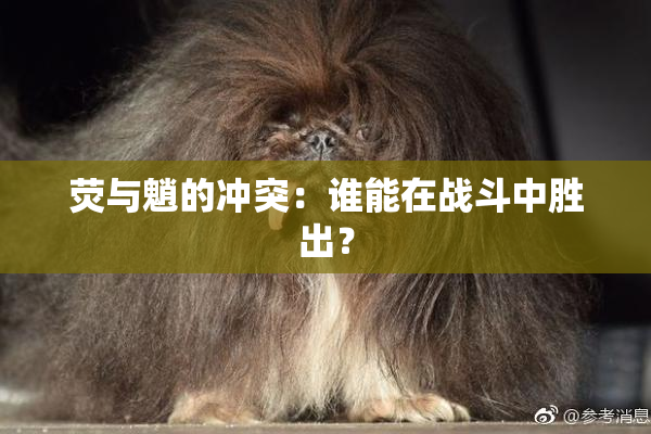 荧与魈的冲突：谁能在战斗中胜出？