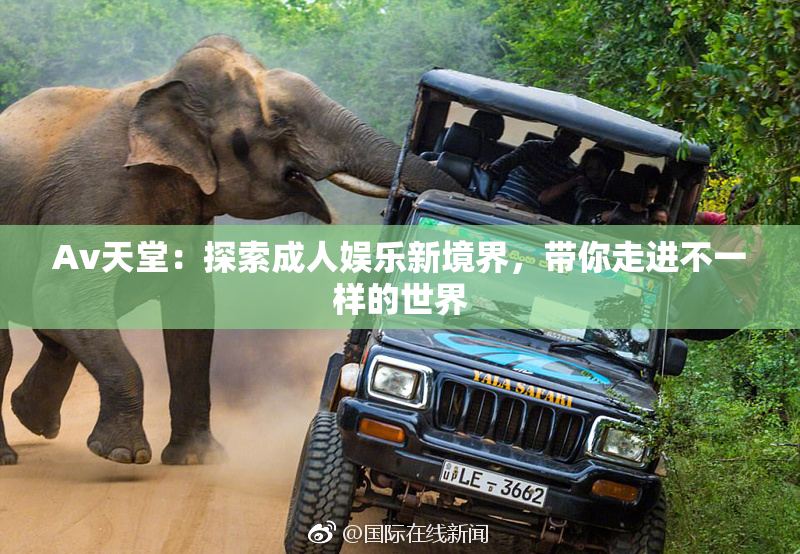 Av天堂：探索成人娱乐新境界，带你走进不一样的世界