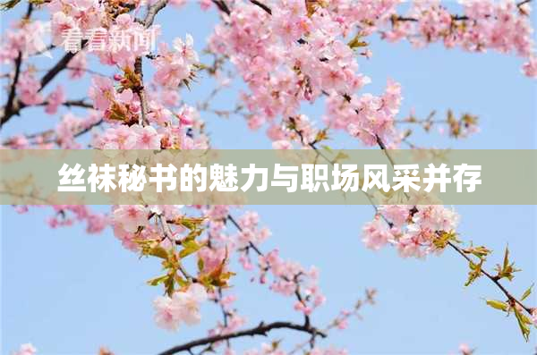 丝袜秘书的魅力与职场风采并存