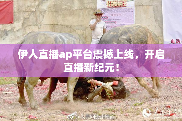 伊人直播ap平台震撼上线，开启直播新纪元！