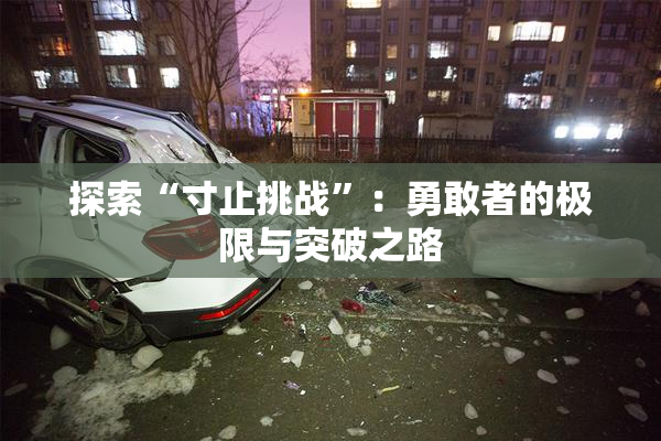 探索“寸止挑战”：勇敢者的极限与突破之路