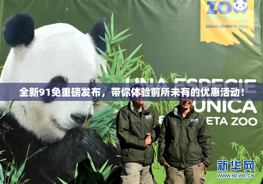 全新91免重磅发布，带你体验前所未有的优惠活动！