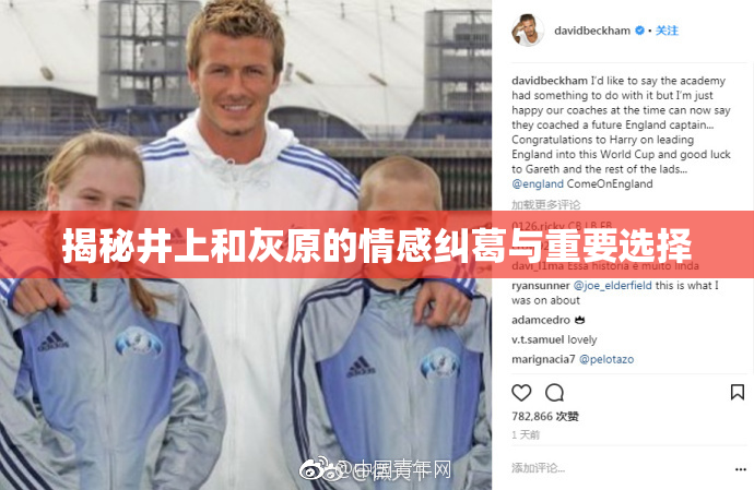 揭秘井上和灰原的情感纠葛与重要选择