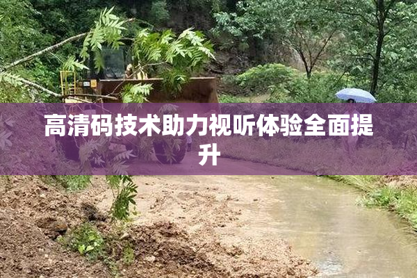 高清码技术助力视听体验全面提升