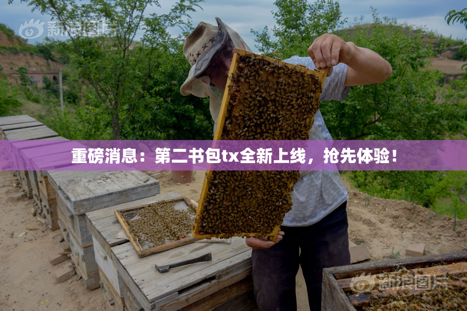 重磅消息：第二书包tx全新上线，抢先体验！