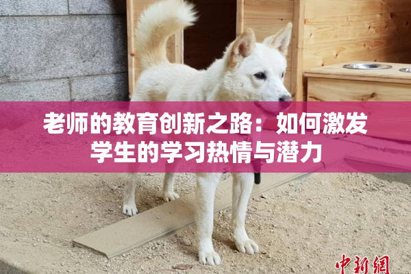 老师的教育创新之路：如何激发学生的学习热情与潜力