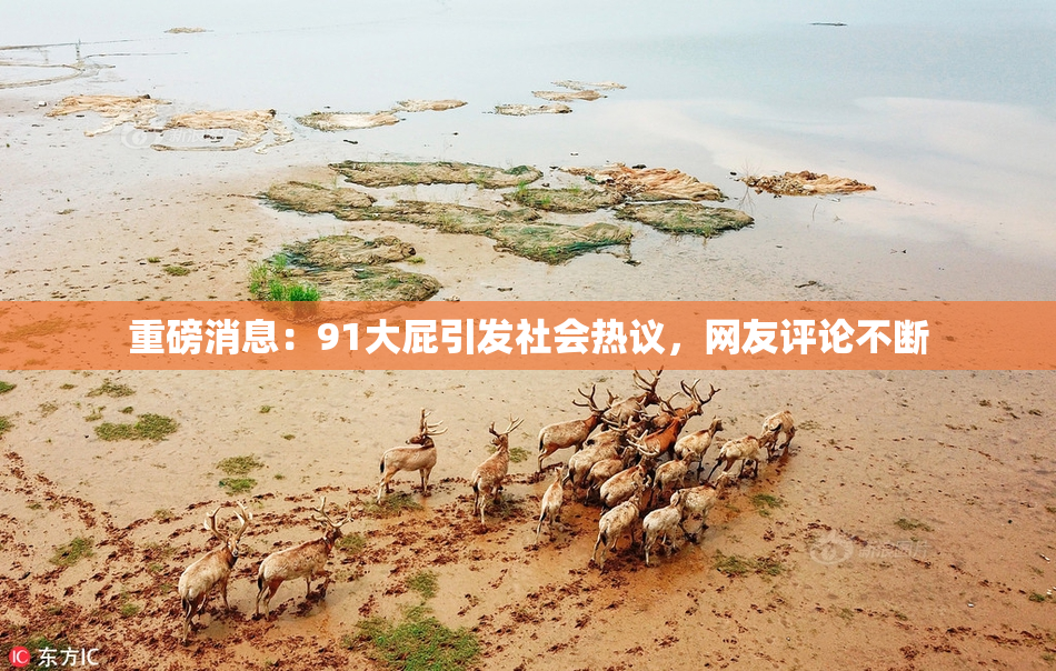 重磅消息：91大屁引发社会热议，网友评论不断