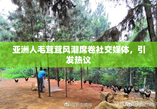 亚洲人毛茸茸风潮席卷社交媒体，引发热议