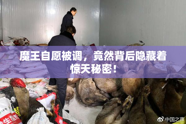 魔王自愿被调，竟然背后隐藏着惊天秘密！