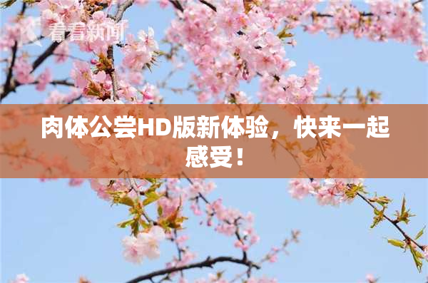 肉体公尝HD版新体验，快来一起感受！
