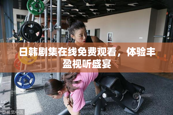 日韩剧集在线免费观看，体验丰盈视听盛宴