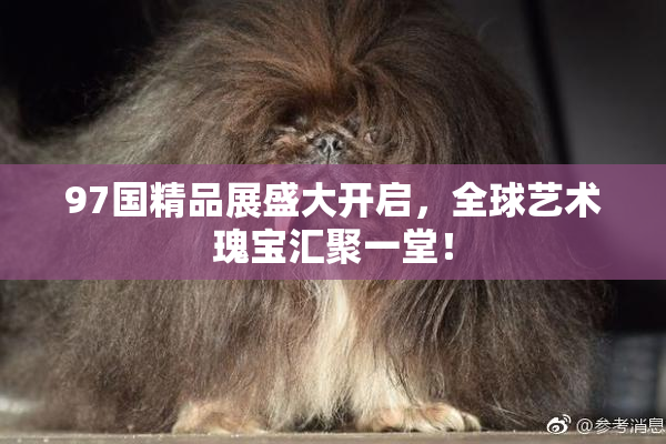 97国精品展盛大开启，全球艺术瑰宝汇聚一堂！