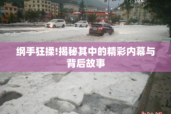 纲手狂揉!揭秘其中的精彩内幕与背后故事