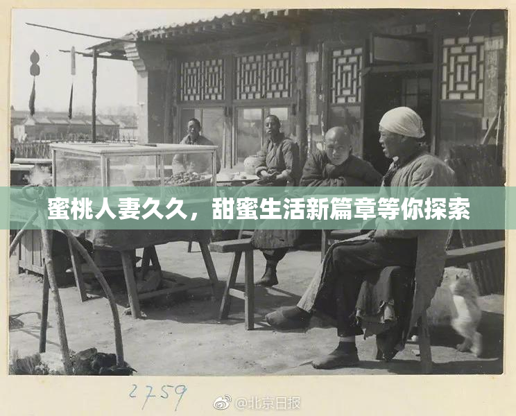 蜜桃人妻久久，甜蜜生活新篇章等你探索