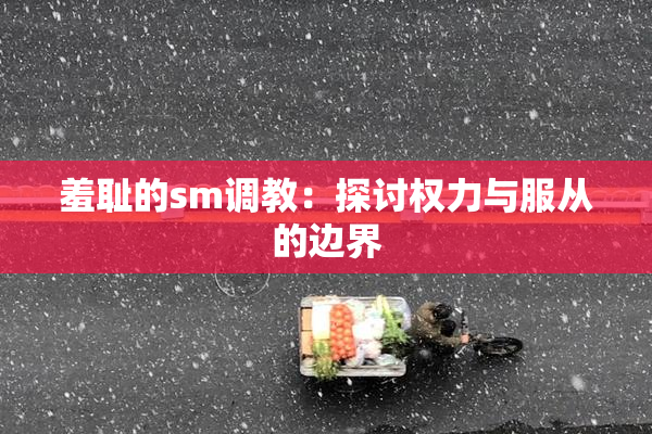 羞耻的sm调教：探讨权力与服从的边界