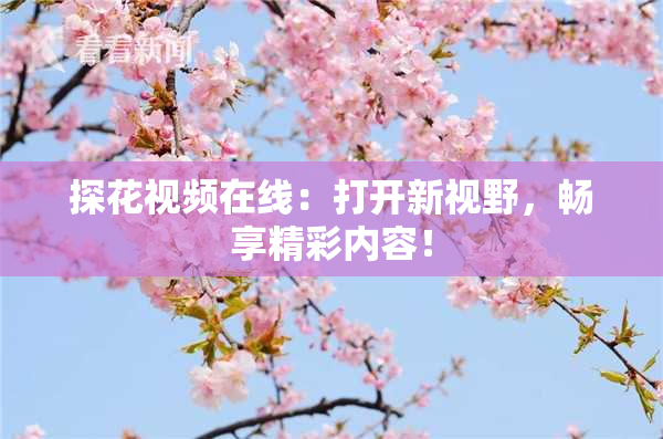 探花视频在线：打开新视野，畅享精彩内容！