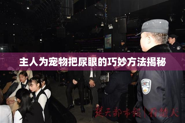 主人为宠物把尿眼的巧妙方法揭秘