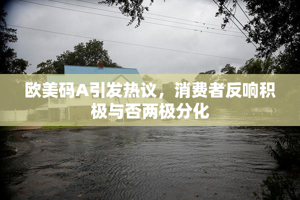 欧美码A引发热议，消费者反响积极与否两极分化