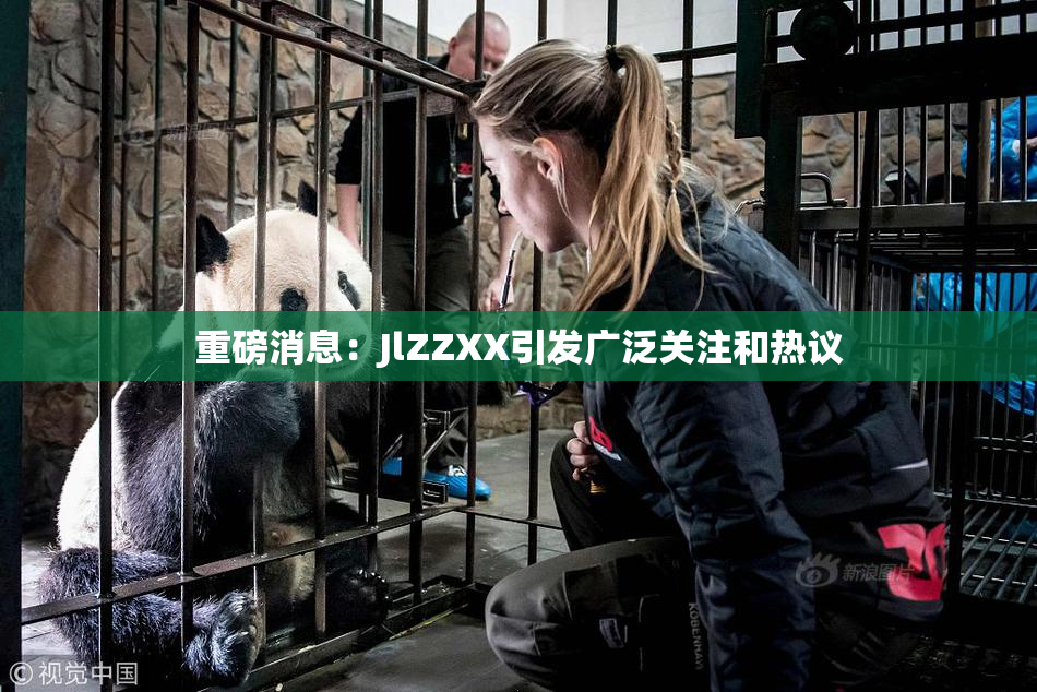 重磅消息：JlZZXX引发广泛关注和热议