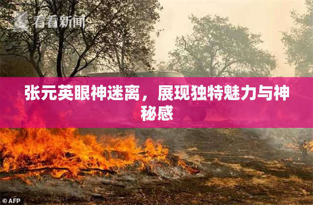 张元英眼神迷离，展现独特魅力与神秘感