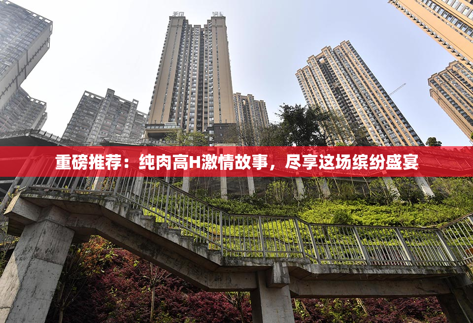 重磅推荐：纯肉高H激情故事，尽享这场缤纷盛宴