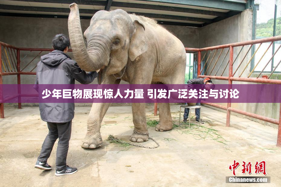 少年巨物展现惊人力量 引发广泛关注与讨论
