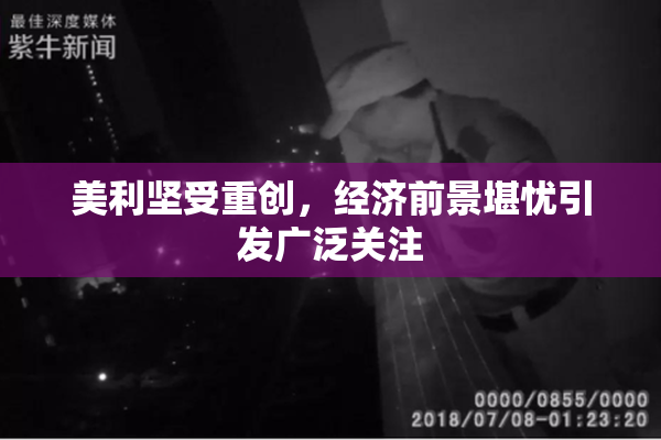 美利坚受重创，经济前景堪忧引发广泛关注