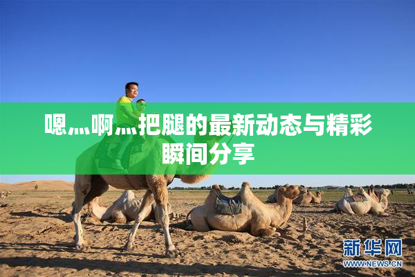嗯灬啊灬把腿的最新动态与精彩瞬间分享