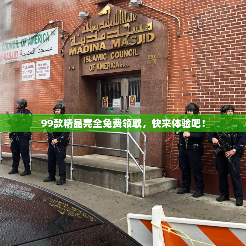 99款精品完全免费领取，快来体验吧！