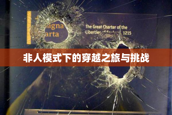 非人模式下的穿越之旅与挑战