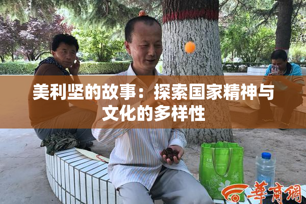 美利坚的故事：探索国家精神与文化的多样性