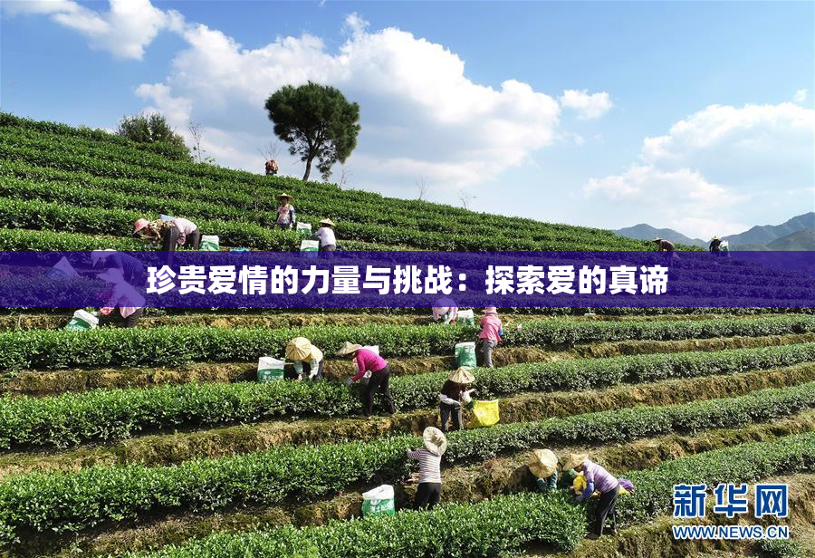 珍贵爱情的力量与挑战：探索爱的真谛