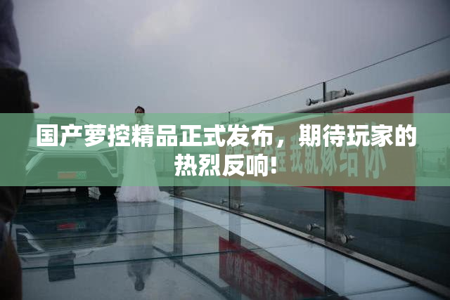 国产萝控精品正式发布，期待玩家的热烈反响!