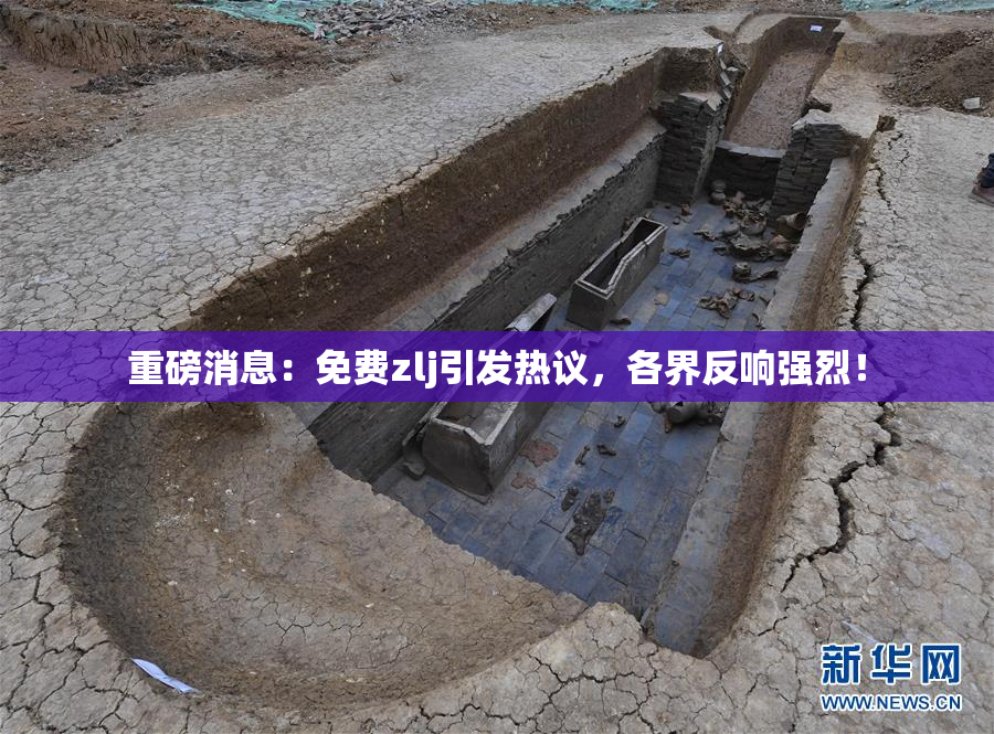 重磅消息：免费zlj引发热议，各界反响强烈！
