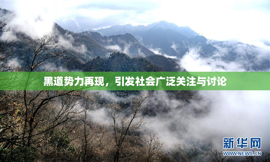 黑道势力再现，引发社会广泛关注与讨论