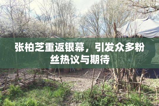 张柏芝重返银幕，引发众多粉丝热议与期待