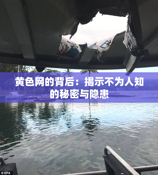 黄色网的背后：揭示不为人知的秘密与隐患