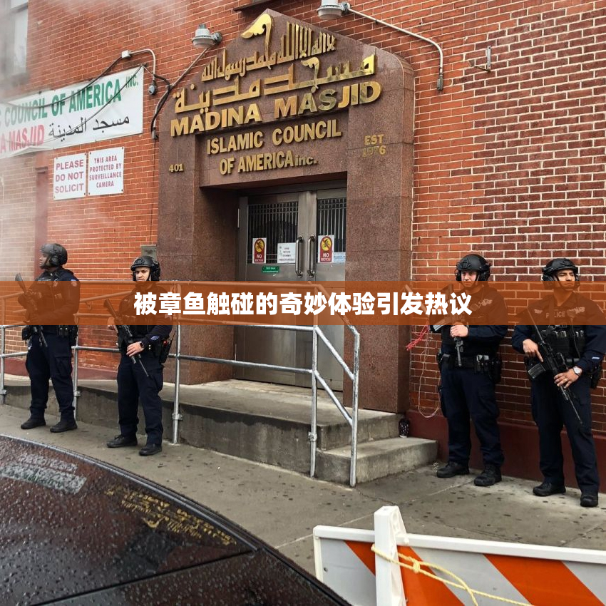 被章鱼触碰的奇妙体验引发热议