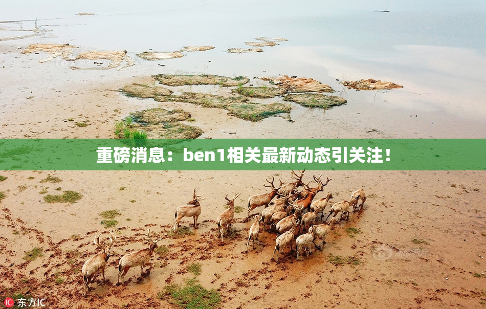 重磅消息：ben1相关最新动态引关注！