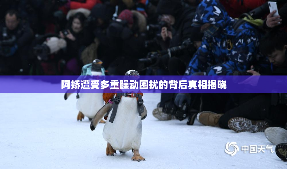 阿娇遭受多重躁动困扰的背后真相揭晓