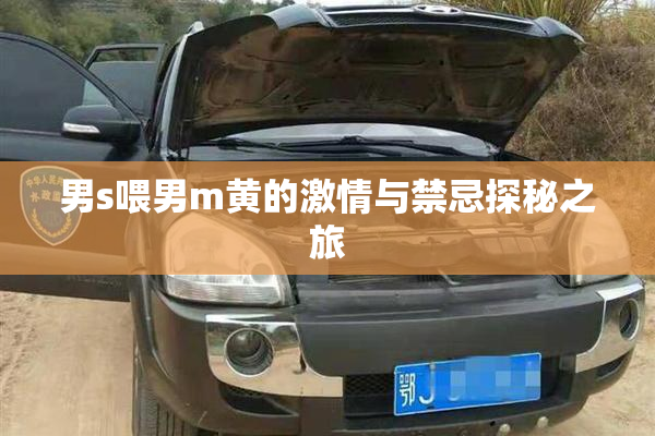 男s喂男m黄的激情与禁忌探秘之旅