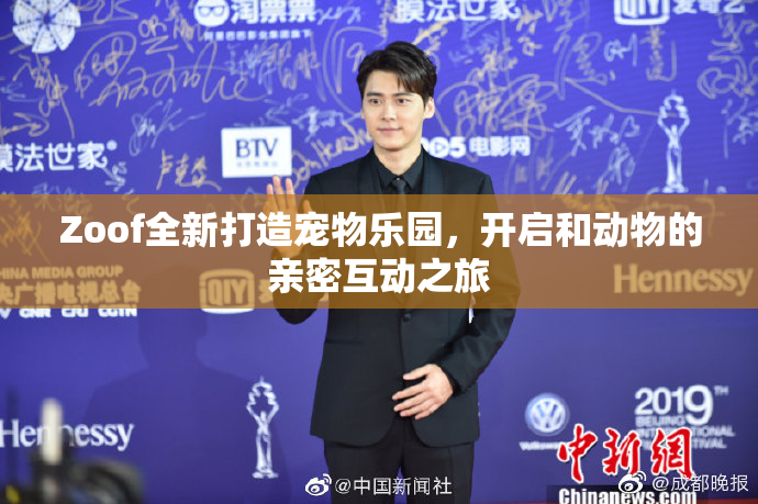 Zoof全新打造宠物乐园，开启和动物的亲密互动之旅