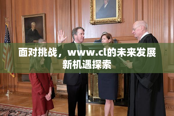 面对挑战，www.cl的未来发展新机遇探索