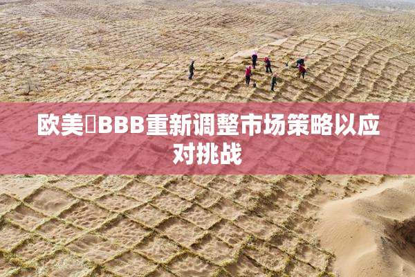 欧美槡BBB重新调整市场策略以应对挑战