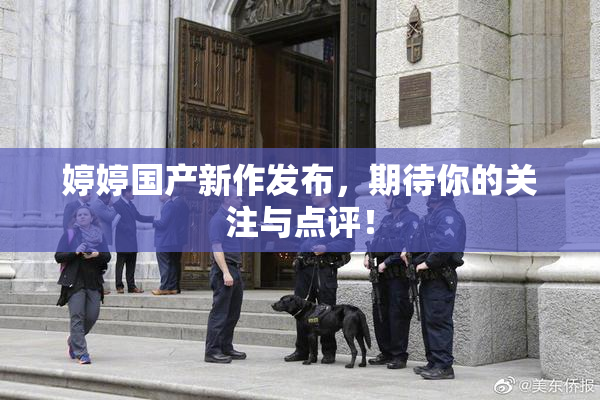 婷婷国产新作发布，期待你的关注与点评！